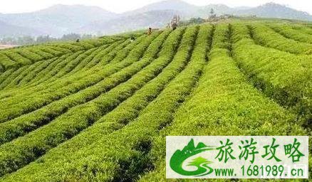 云南冷门又好玩的地方 云南冷门又好玩的地方