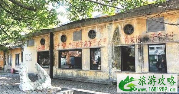 广州网红拍照地方大全2022