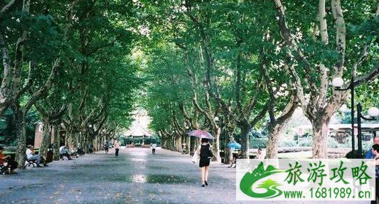 上海老公园在哪里 上海老公园介绍