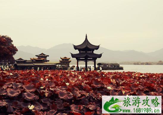 西湖水面白沫是什么 西湖水面被污染了吗 西湖水面白沫是什么 西湖水面被污染了吗