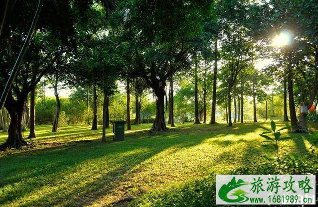 深圳旅游必去十大景点推荐 深圳旅游必去十大景点推荐