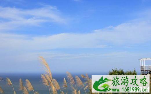 2022年7月苍南台风暂时关闭的景点 2022年7月苍南台风暂时关闭的景点