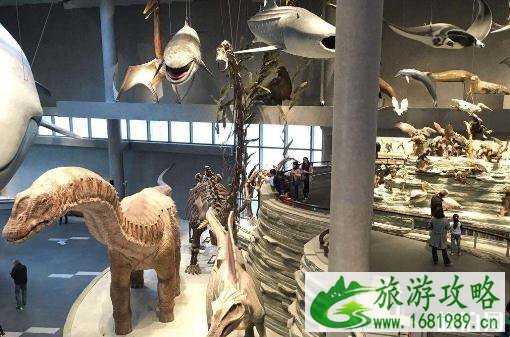 2022武汉市自然博物馆门票多少钱+开放时间 2022武汉市自然博物馆门票多少钱+开放时间