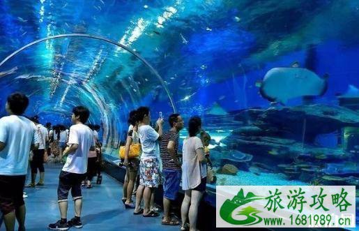 武汉市内避暑的地方有哪些2022 武汉市内避暑地推荐 武汉市内避暑的地方有哪些2022 武汉市内避暑地推荐