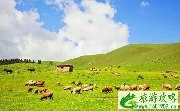 2022贵州高速五折时间 贵州旅游优惠有哪些