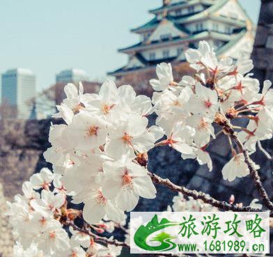 2022大阪天守阁游玩攻略 门票+交通指南