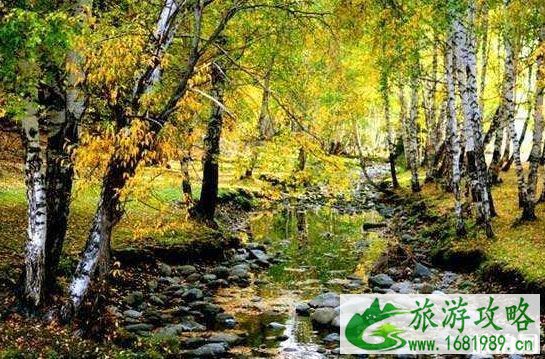 环北疆旅游景点介绍