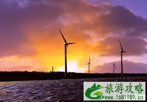 高美湿地风景区游玩攻略