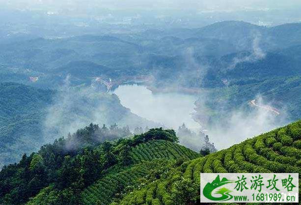 河南避暑胜地有哪些 河南避暑哪里好 河南避暑胜地有哪些 河南避暑哪里好