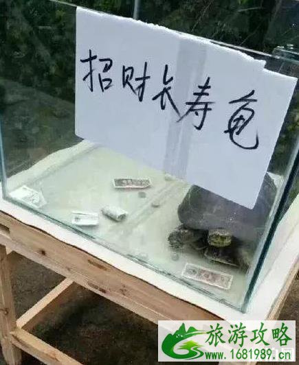 保定动物园门票多少钱+优惠政策 保定动物园门票多少钱+优惠政策