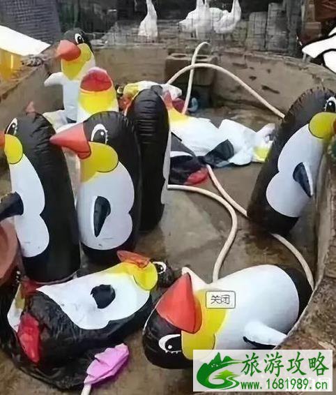 保定动物园门票多少钱+优惠政策 保定动物园门票多少钱+优惠政策
