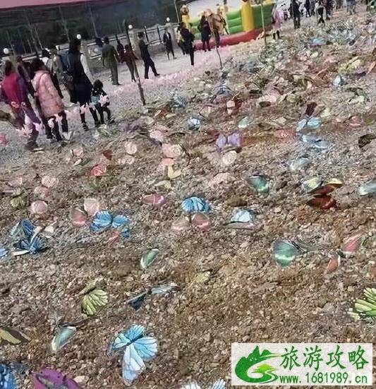 保定动物园门票多少钱+优惠政策 保定动物园门票多少钱+优惠政策