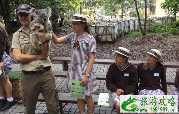 保定动物园门票多少钱+优惠政策 保定动物园门票多少钱+优惠政策