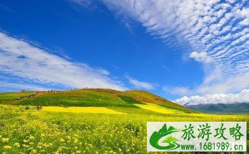八月份适合去茶卡盐湖吗 八月份适合去茶卡盐湖吗