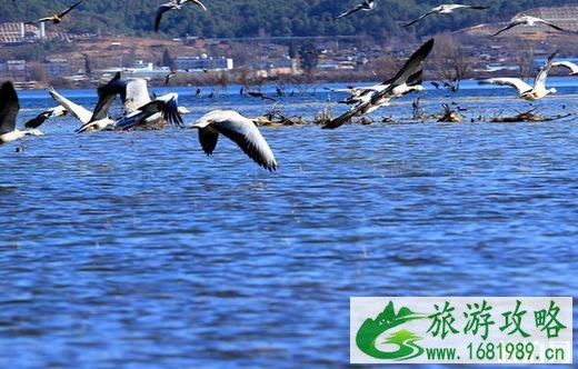 2022丽江十大旅游景点推荐 丽江旅游景点排行榜