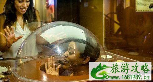 纽约博物馆推荐