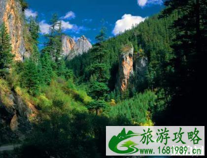 新龙县海拔多少米 新龙县旅游景点介绍