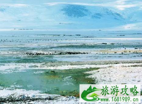 新龙县海拔多少米 新龙县旅游景点介绍