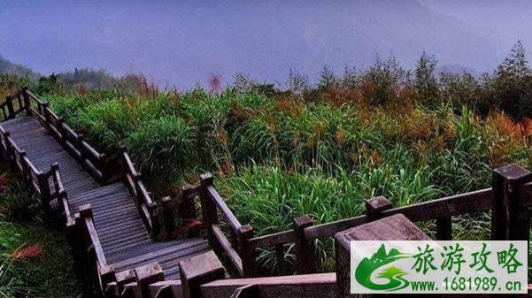阿里山游玩攻略