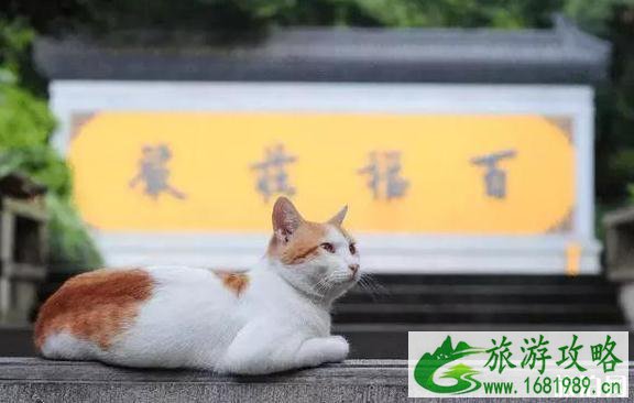 中国最美的寺庙有哪些 中国最美寺庙介绍