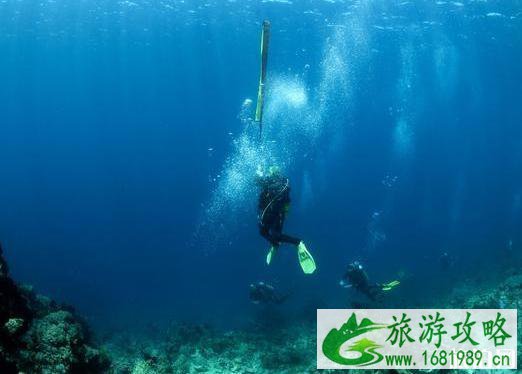 浮潜去哪里 浮潜胜地推荐世界篇