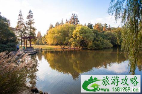 上海暑假适合带孩子一起玩的地方有哪些2022 上海暑假适合带孩子一起玩的地方有哪些2022