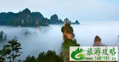 黄河景点有哪些地方 黄河十景介绍