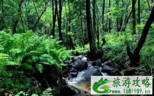 山西避暑哪里好 山西避暑胜地介绍