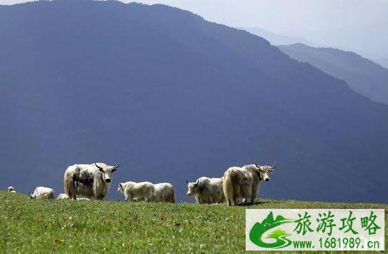山西境内自驾游路线推荐