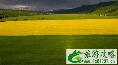 转乘飞机注意事项