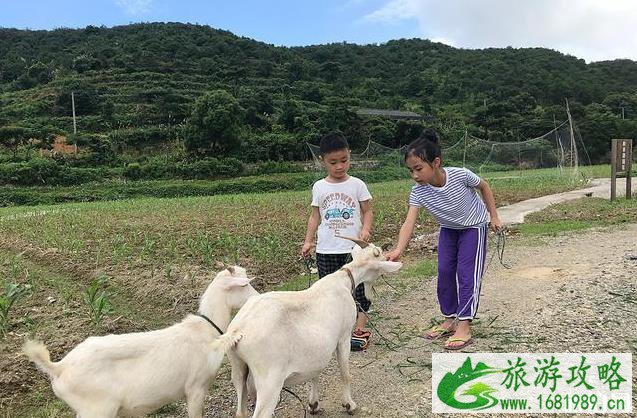7月份可以去哪些海滨城市旅游 7月份可以去哪些海滨城市旅游