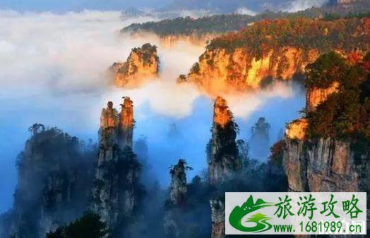 2022可以用中高考准考证免票的景点 2022可以用中高考准考证免票的景点