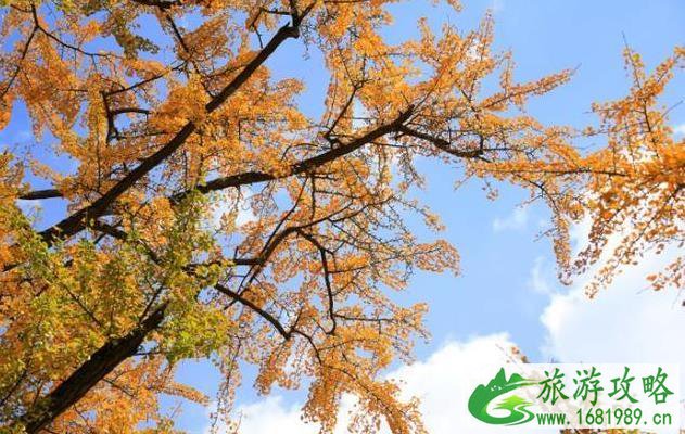 六盘水与昆明哪个更适合避暑 六盘水与昆明哪个更适合避暑