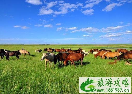 一生中一定要去的十大景点盘点 国内必去的十大地方 一生中一定要去的十大景点盘点 国内必去的十大地方