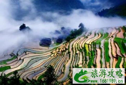 高要梯田怎么样 高要梯田景点介绍