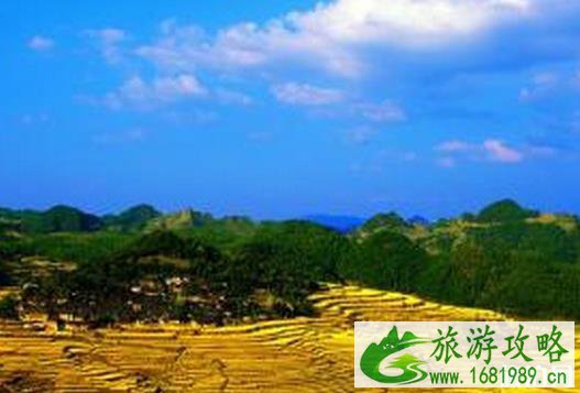 高要梯田怎么样 高要梯田景点介绍