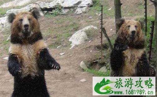 贵阳森林野生动物园的门票是多少 门票+交通信息