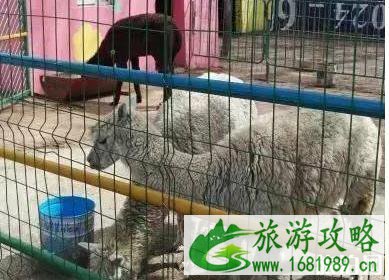 沈阳周末去哪玩 沈阳周末旅游游玩地点介绍