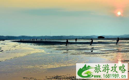 金滩在哪里 东兴金滩游玩攻略 金滩在哪里 东兴金滩游玩攻略
