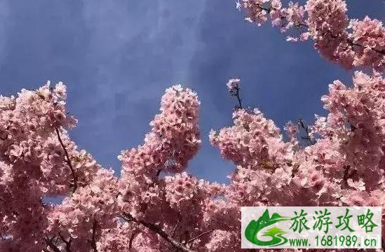 手机修图技巧推荐 手机修图基础教程
