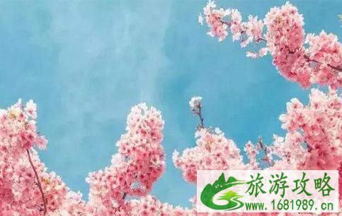手机修图技巧推荐 手机修图基础教程