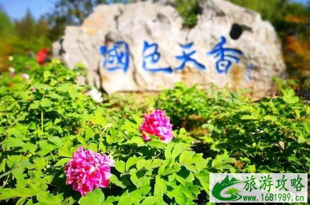 洛阳有著名的好玩的地方