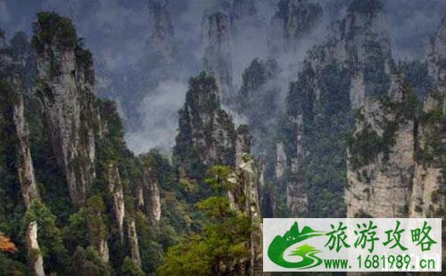 2022张家界十大旅游景点推荐 张家界旅游景点排行榜 2022张家界十大旅游景点推荐 张家界旅游景点排行榜
