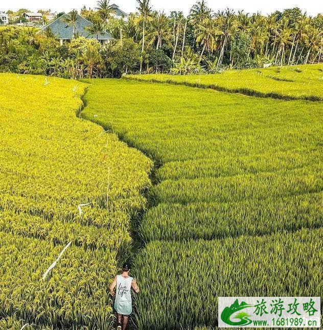 波西米亚冲浪小镇长谷旅游指南 波西米亚冲浪小镇长谷旅游指南