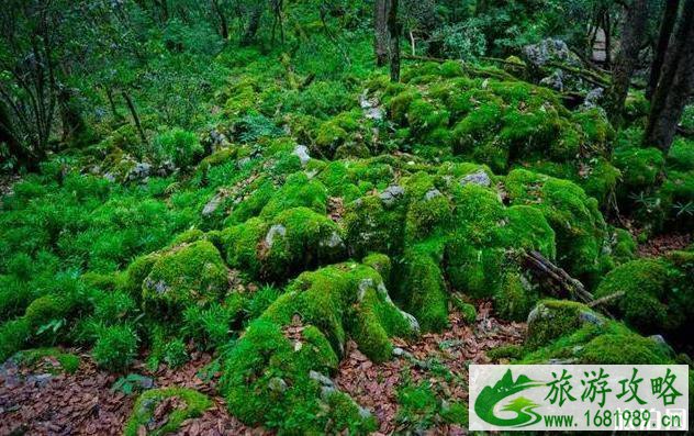 7月份去哪里旅游最好