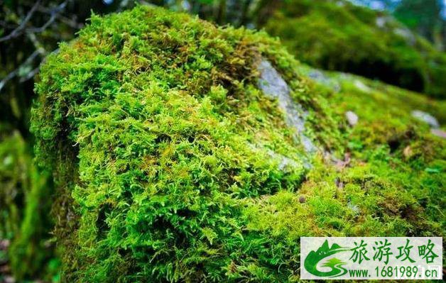 7月份去哪里旅游最好