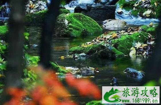 7月份去哪里旅游最好
