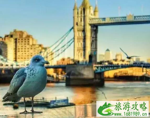 暑假亲子游好去处2022(国外版) 暑假亲子游好去处2022(国外版)