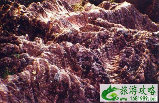 红石林国家地质公园门票多少钱+优惠政策 红石林国家地质公园门票多少钱+优惠政策
