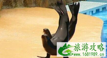 齐河周末哪里好玩的地方 齐河周末哪里好玩的地方